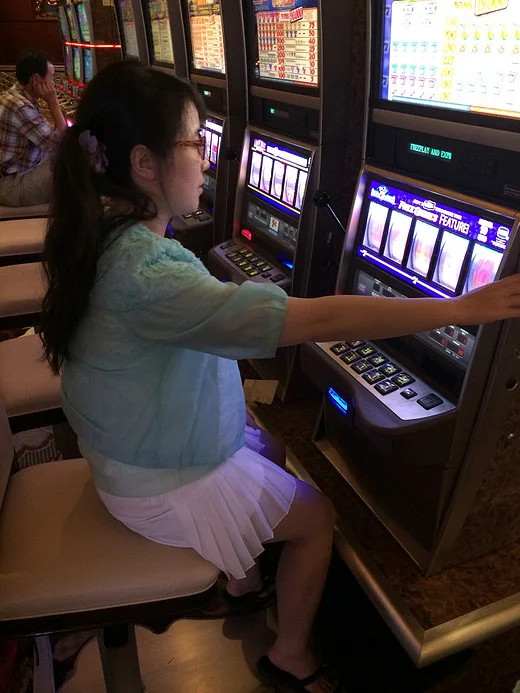 梦想国际电子游戏动物主题